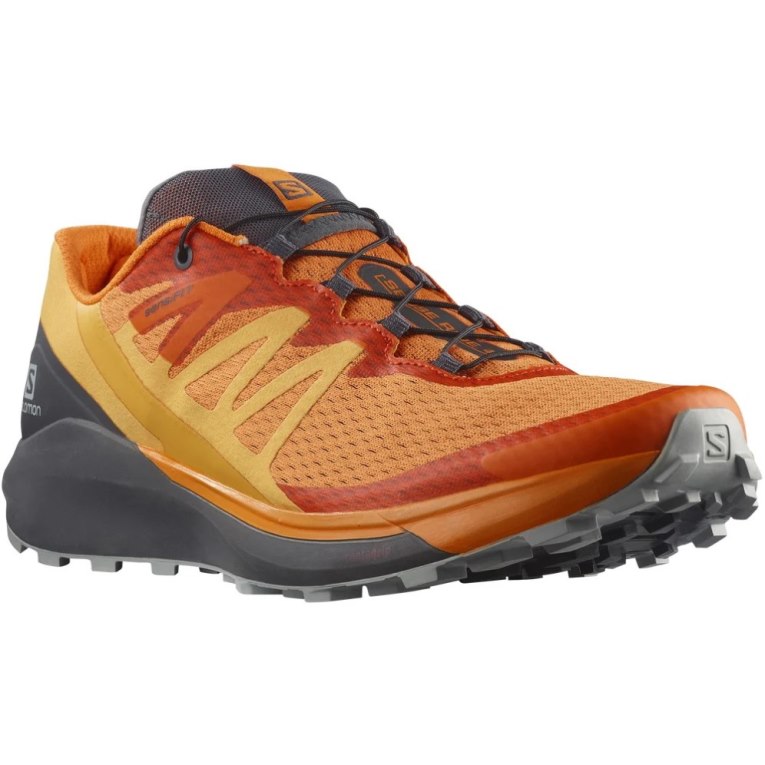 Sapatilhas Trail Running Salomon Sense Ride 4 Masculino Laranja | PT W37421